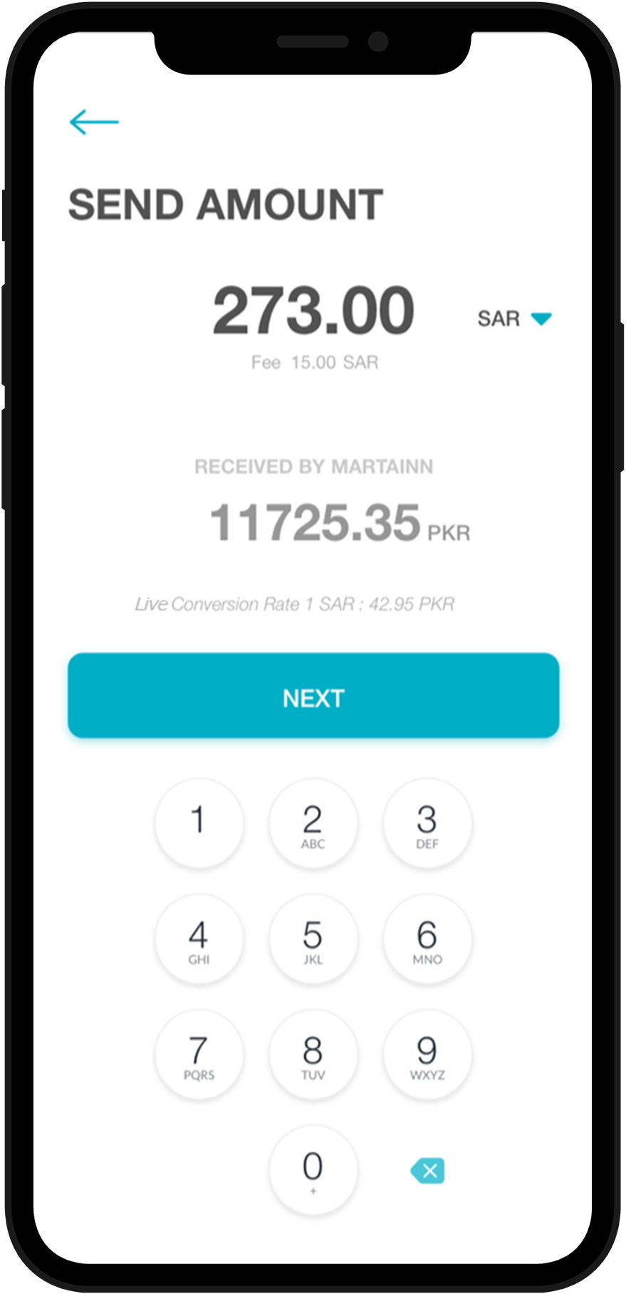 Friendi Pay send amount operational screen